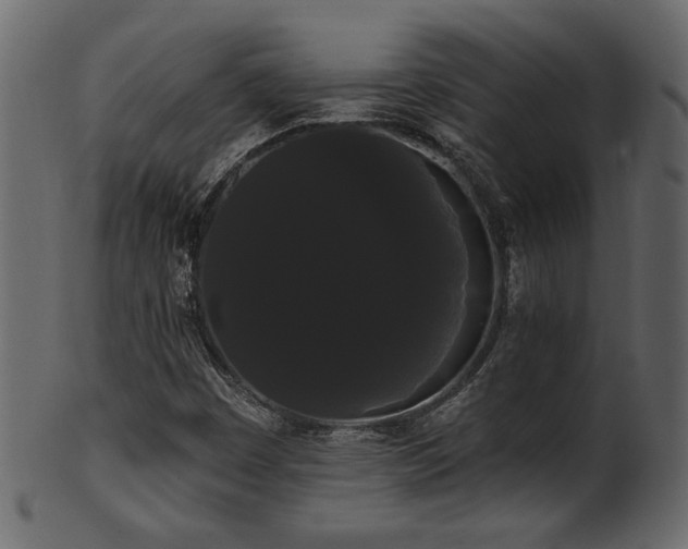 X0000101981449200807181114