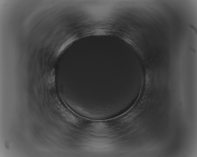 X0000101981450200807181114