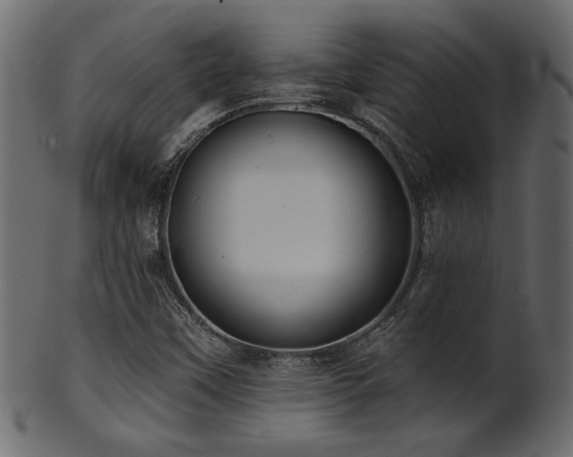 X0000101981451200807181114