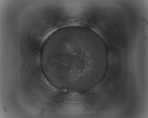 X0000101981452200807181114