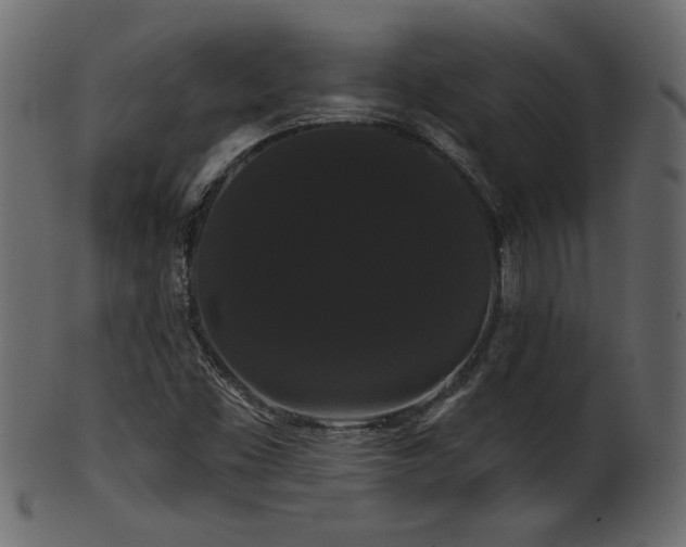 X0000101981453200807181114