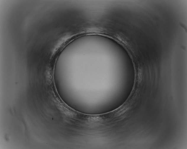 X0000101981454200807181114