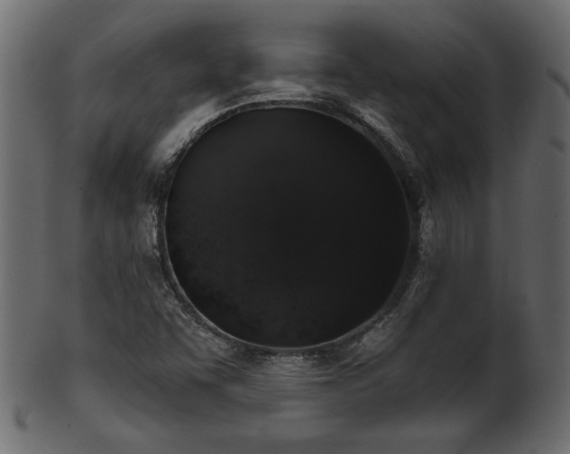 X0000101981455200807181114