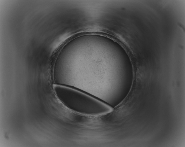 X0000101981456200807181114