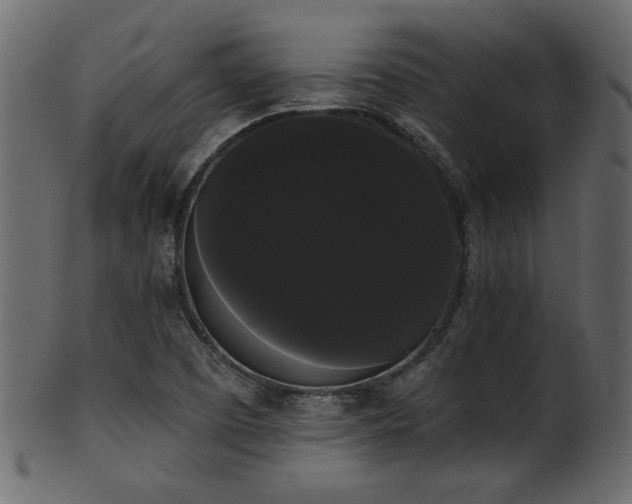 X0000101981457200807181114