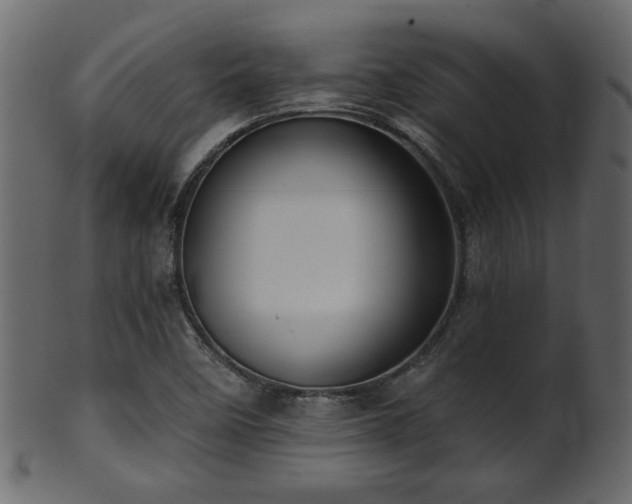 X0000101981458200807181114