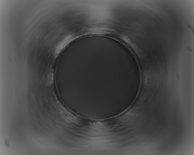 X0000101981459200807181114