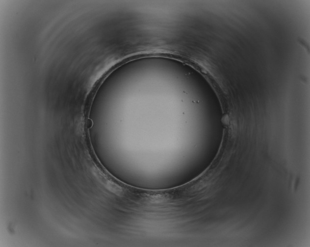 X0000101981460200807181114