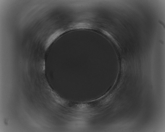 X0000101981461200807181114