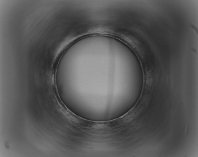 X0000101981462200807181114