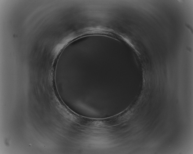 X0000101981463200807181114