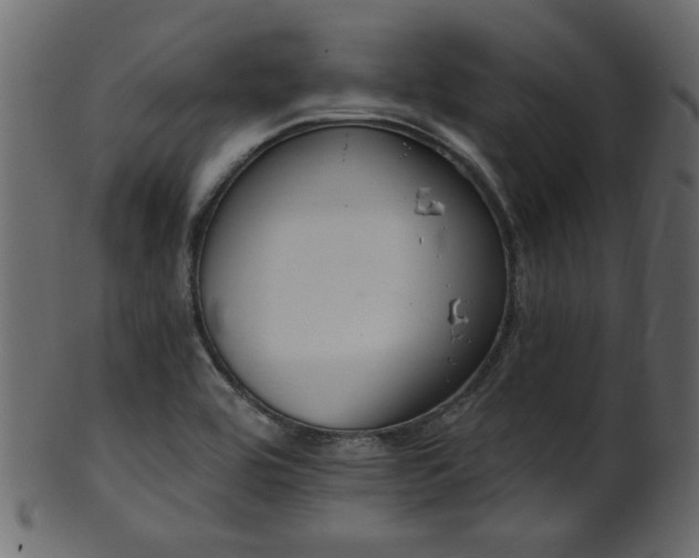 X0000101981464200807181114