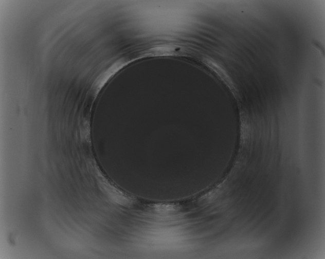 X0000101981465200807181114