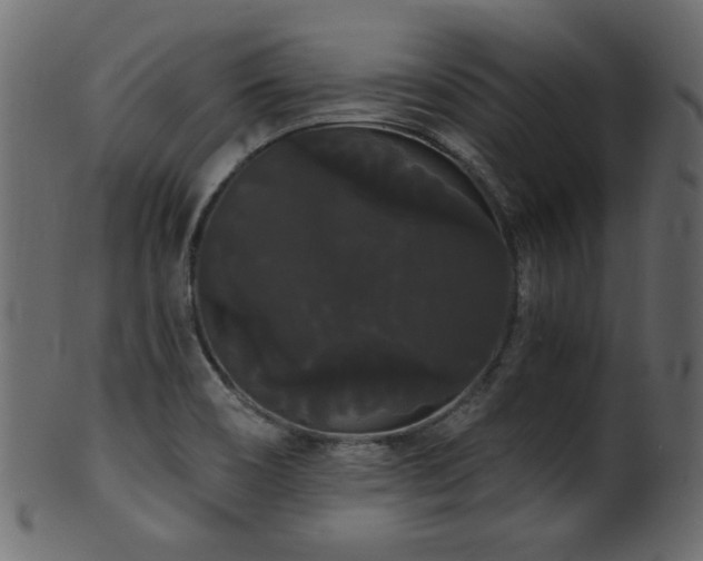 X0000101981466200807181113