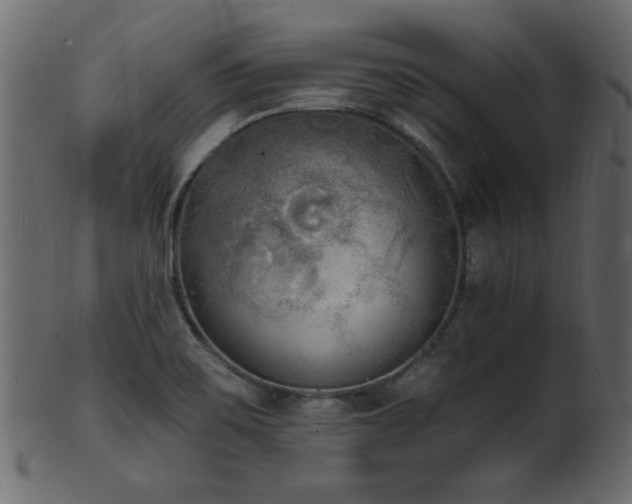 X0000101981467200807181113