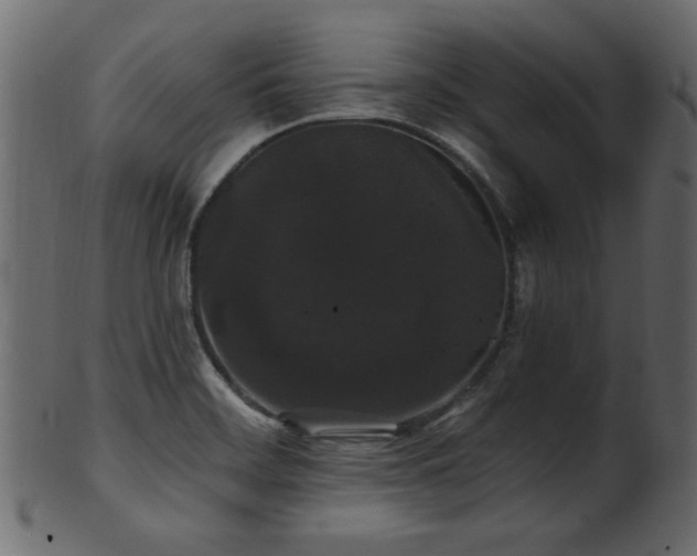 X0000101981468200807181113