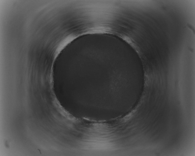 X0000101981469200807181113