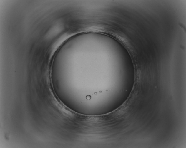 X0000101981470200807181113