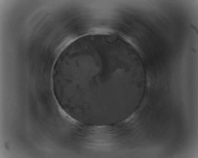 X0000101981471200807181113