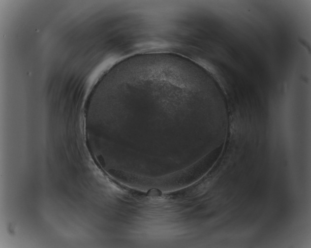 X0000101981472200807181113