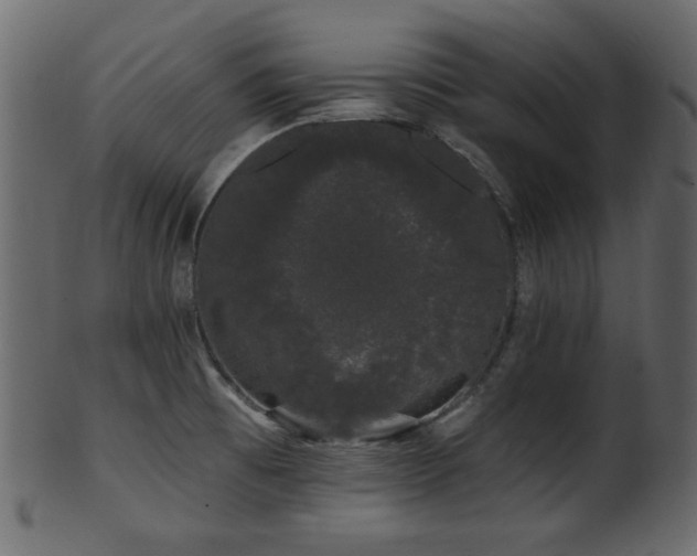 X0000101981473200807181113