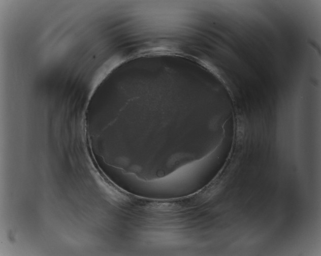 X0000101981474200807181113