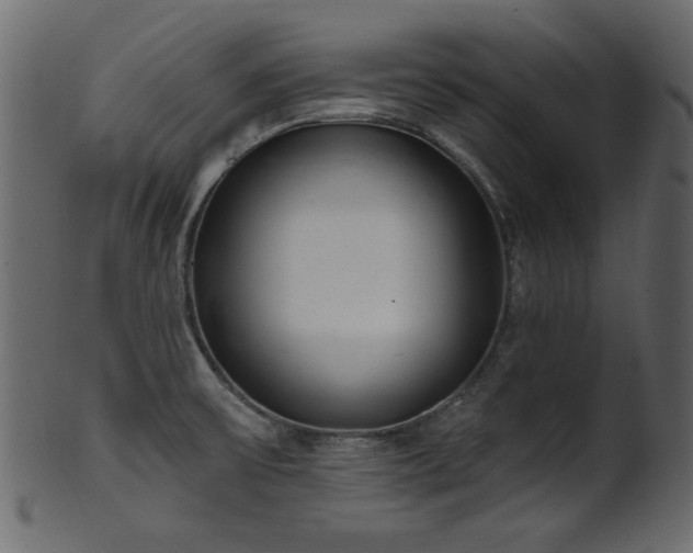 X0000101981475200807181113