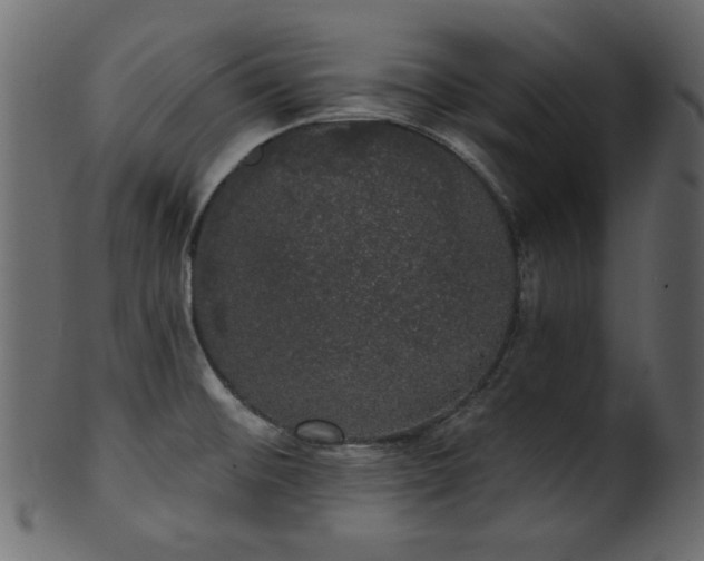 X0000101981476200807181113