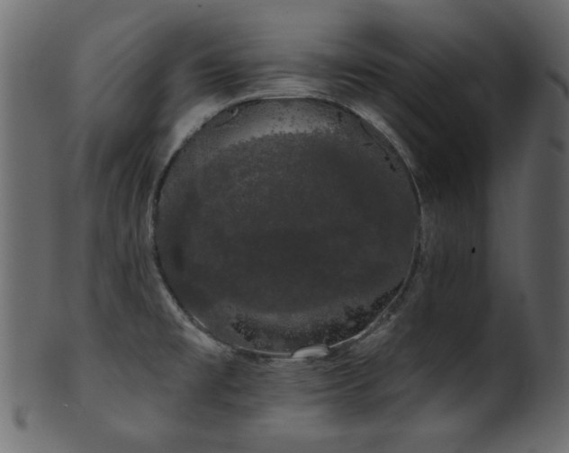 X0000101981477200807181113