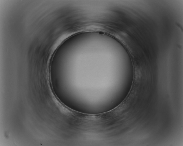 X0000101981478200807181113