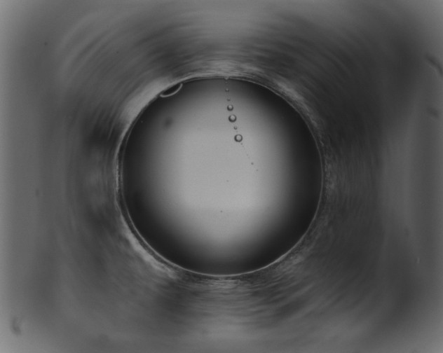 X0000101981479200807181113