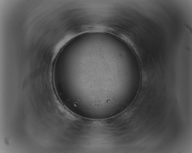 X0000101981480200807181113