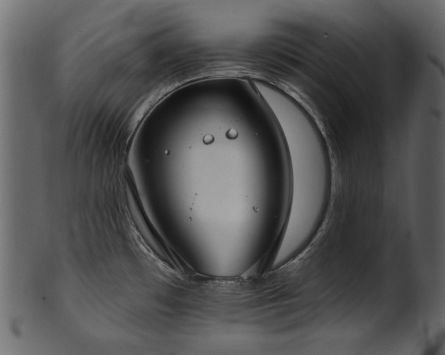 X0000101981481200807181113