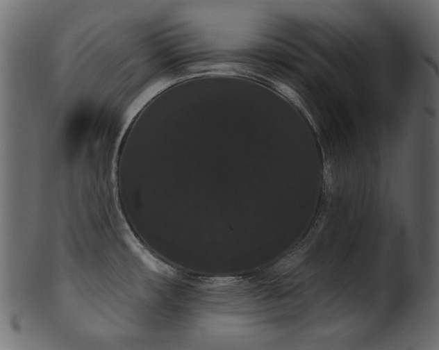 X0000101981482200807181113