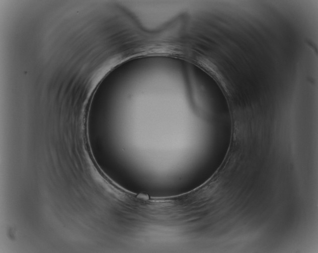 X0000101981483200807181113