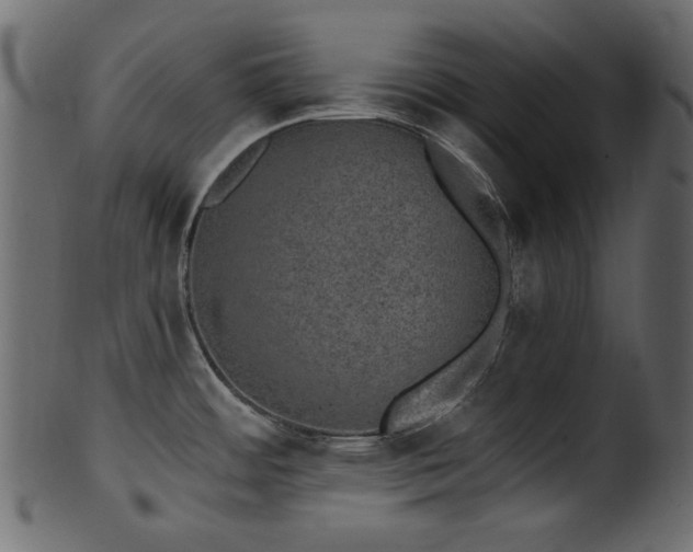 X0000101981484200807181113