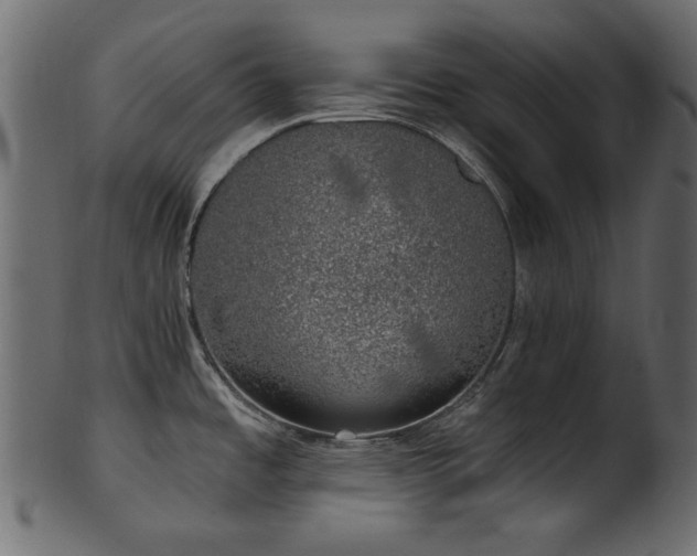 X0000101981485200807181113