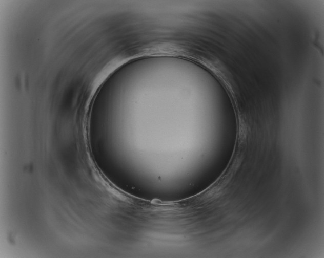 X0000101981486200807181113