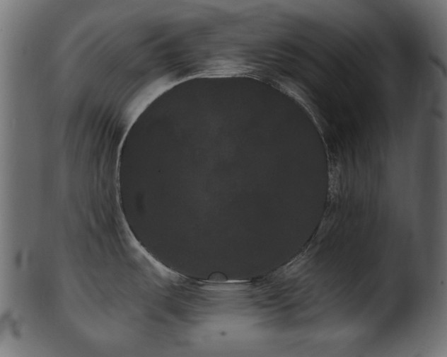 X0000101981487200807181113