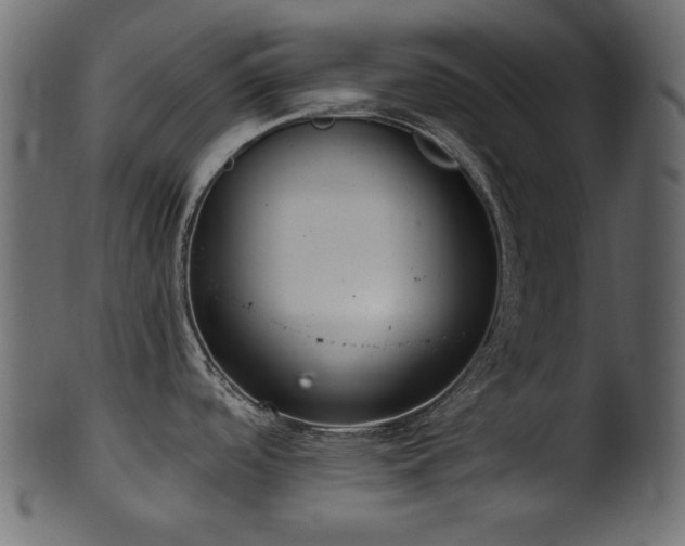 X0000101981488200807181113