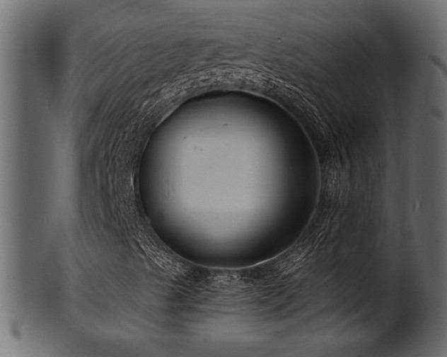 X0000101981489200807181113