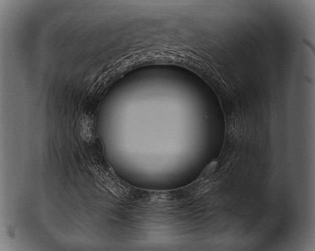 X0000101981490200807181113