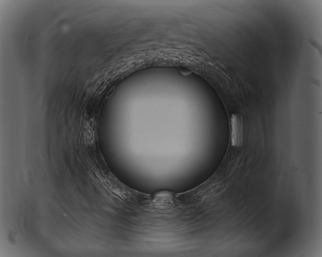 X0000101981491200807181113