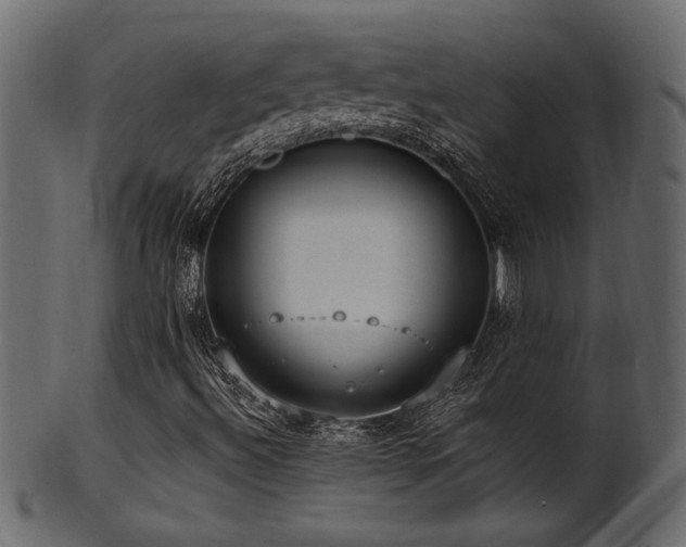 X0000101981492200807181113