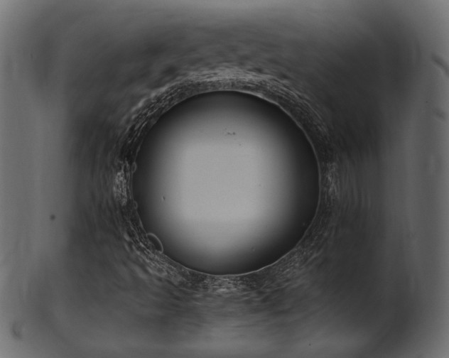 X0000101981493200807181113