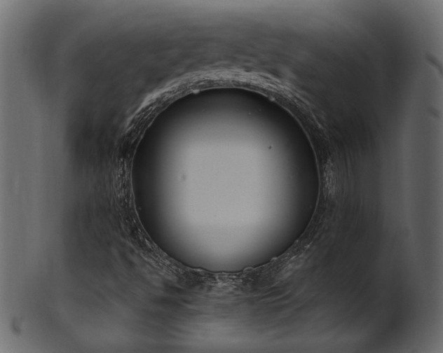 X0000101981494200807181113