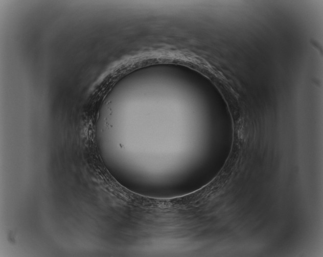 X0000101981495200807181113