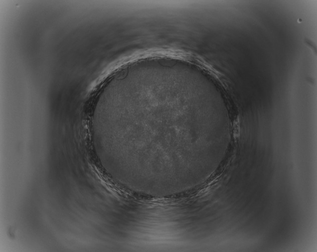 X0000101981496200807181113