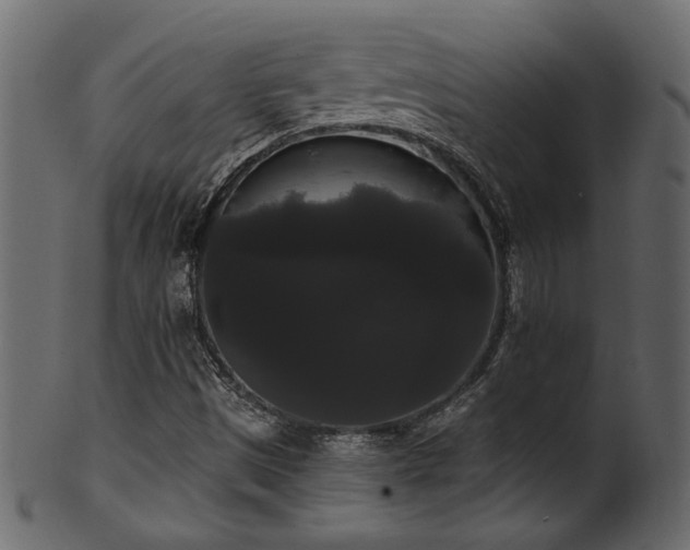 X0000101981497200807181113