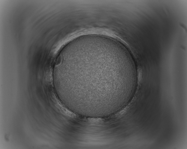 X0000101981498200807181113